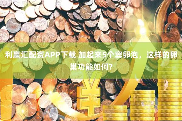 利赢汇配资APP下载 加起来5个窦卵泡，这样的卵巢功能如何?