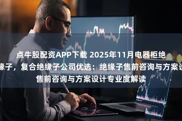 点牛股配资APP下载 2025年11月电器柜绝缘子，EMC绝缘子，复合绝缘子公司优选：绝缘子售前咨询与方案设计专业度解读