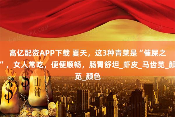 高亿配资APP下载 夏天，这3种青菜是“催屎之王”，女人常吃，便便顺畅，肠胃舒坦_虾皮_马齿苋_颜色